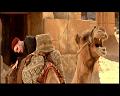 PDVD_2512