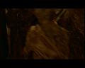 PDVD_2530