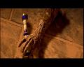 PDVD_2620