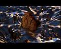 PDVD_2838
