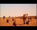 PDVD_2961