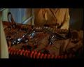 PDVD_556