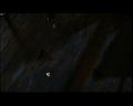 PDVD_617