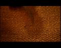 PDVD_662