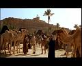 PDVD_777