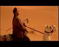 PDVD_800