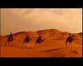 PDVD_802