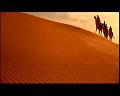 PDVD_808