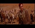 PDVD_844