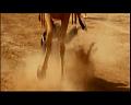 PDVD_880