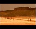 PDVD_884