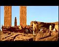PDVD_919