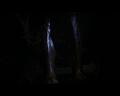 PDVD_968