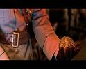 PDVD_1024