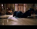 PDVD_1057