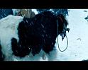 PDVD_1615