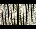 PDVD_162