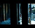 PDVD_1731