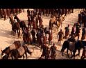 PDVD_176