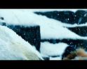 PDVD_1762