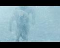 PDVD_1777