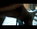 PDVD_1823