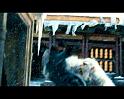 PDVD_1864
