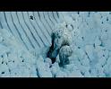 PDVD_2021