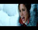 PDVD_2037