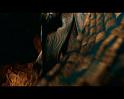 PDVD_2112
