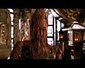 PDVD_212