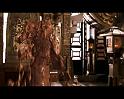 PDVD_214