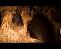 PDVD_2279