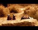 PDVD_2386