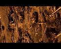 PDVD_2424