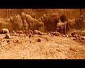 PDVD_2433