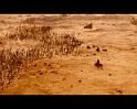 PDVD_2510