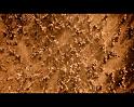 PDVD_2515