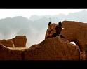 PDVD_2533