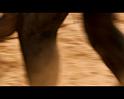 PDVD_2606