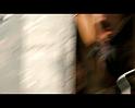 PDVD_2636