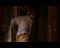 PDVD_2754