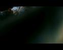 PDVD_2771
