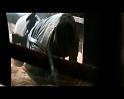 PDVD_2774
