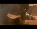 PDVD_2821