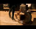 PDVD_2822