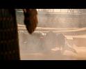PDVD_2824