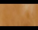 PDVD_2886