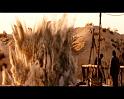 PDVD_406