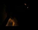 PDVD_445